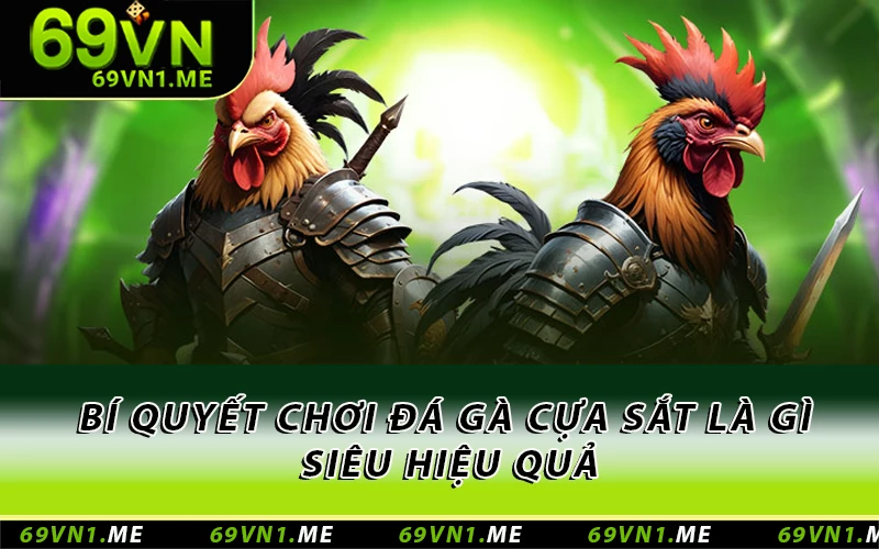 Bí quyết chơi đá gà cựa sắt là gì siêu hiệu quả