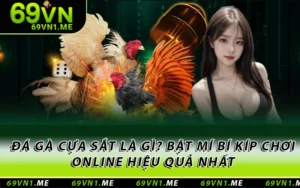 Đá Gà Cựa Sắt Là Gì? Bật Mí Bí Kíp Chơi Online Hiệu Quả Nhất