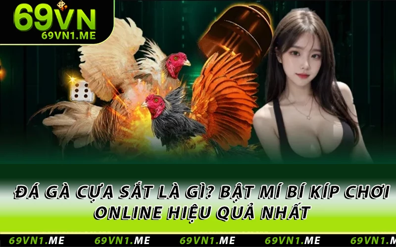 Đá Gà Cựa Sắt Là Gì? Bật Mí Bí Kíp Chơi Online Hiệu Quả Nhất