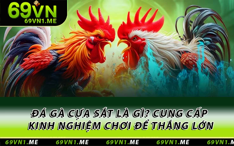 Đá gà cựa sắt là gì? Cung cấp kinh nghiệm chơi để thắng lớn