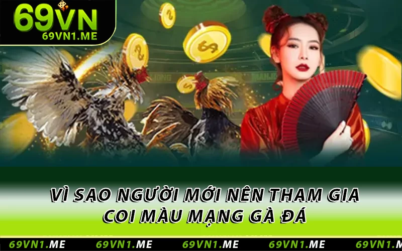 Vì sao người mới nên tham gia coi màu mạng gà đá
