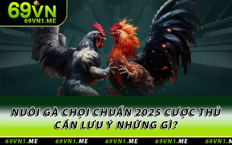 Nuôi gà chọi chuẩn 2025 cược thủ cần lưu ý những gì?