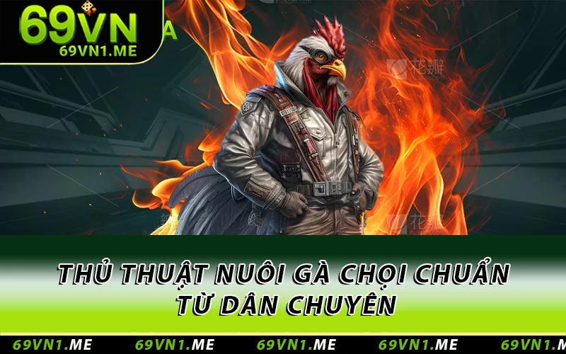 Thủ thuật nuôi gà chọi chuẩn từ dân chuyên